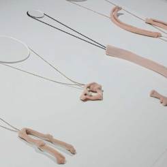 FB-Body-Jewels-6-(c)-SRohner
