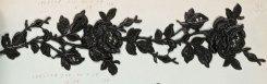 Grauer534_06(c)TMI